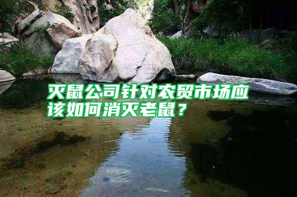 滅鼠公司針對農(nóng)貿(mào)市場應(yīng)該如何消滅老鼠？