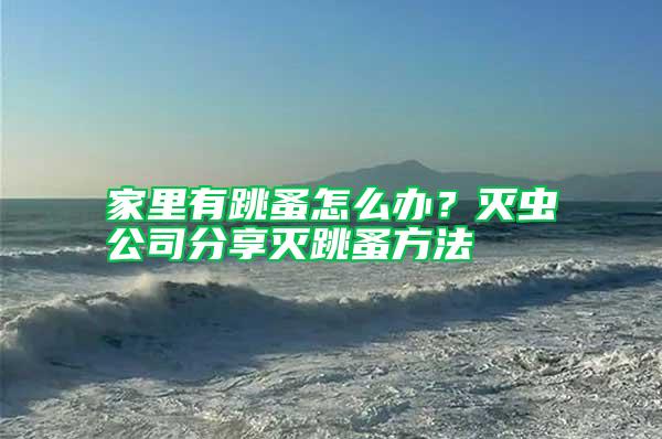 家里有跳蚤怎么辦？滅蟲公司分享滅跳蚤方法