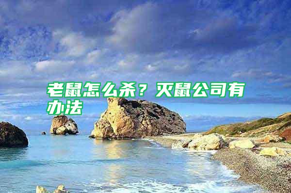 老鼠怎么殺？滅鼠公司有辦法