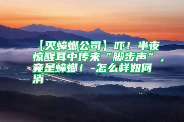 【滅蟑螂公司】嚇！半夜驚醒耳中傳來“腳步聲”，竟是蟑螂！-怎么樣如何消
