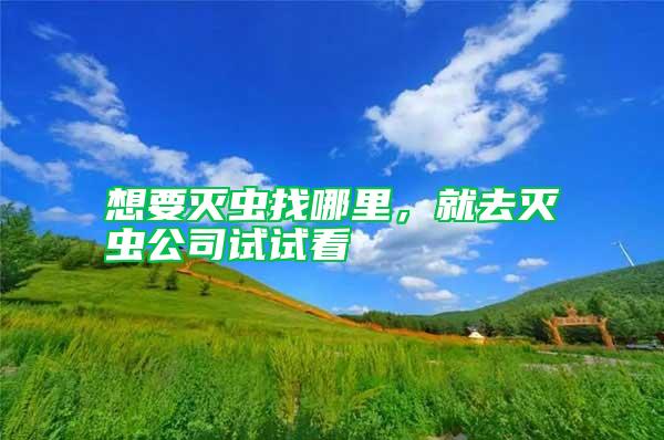 想要滅蟲找哪里，就去滅蟲公司試試看