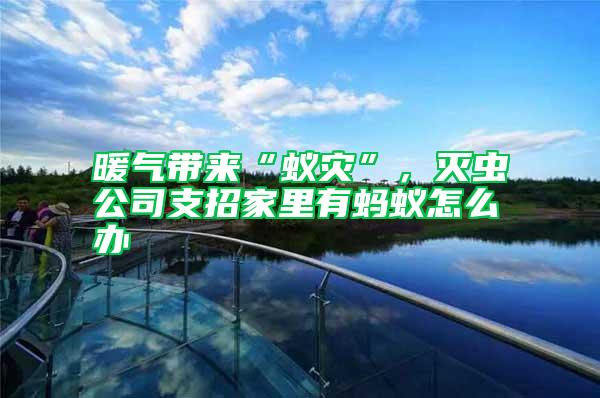 暖氣帶來“蟻災”，滅蟲公司支招家里有螞蟻怎么辦