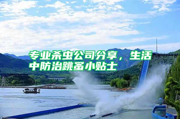 專業(yè)殺蟲公司分享，生活中防治跳蚤小貼士