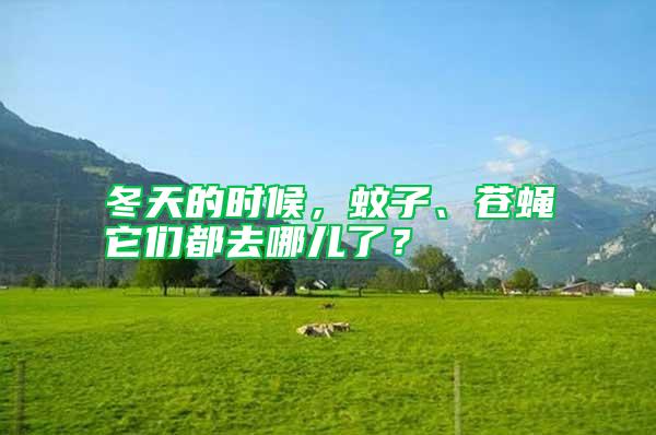 冬天的時候，蚊子、蒼蠅它們都去哪兒了？