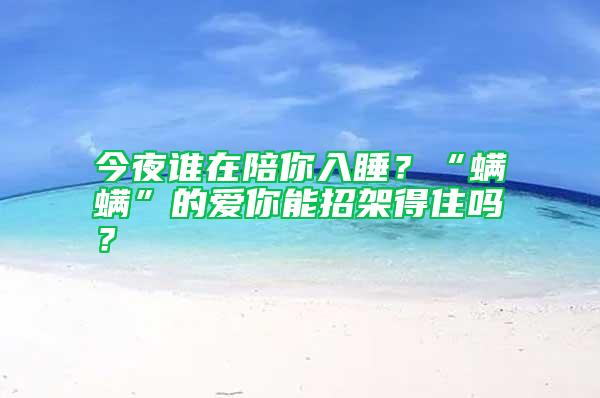 今夜誰在陪你入睡？“螨螨”的愛你能招架得住嗎？