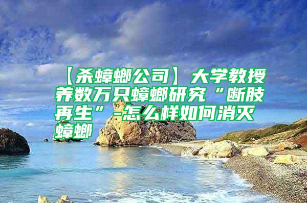 【殺蟑螂公司】大學(xué)教授養(yǎng)數(shù)萬(wàn)只蟑螂研究“斷肢再生”-怎么樣如何消滅蟑螂