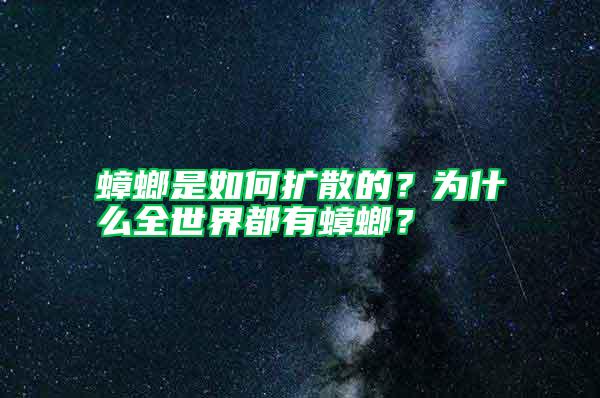 蟑螂是如何擴散的？為什么全世界都有蟑螂？
