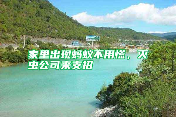 家里出現(xiàn)螞蟻不用慌，滅蟲(chóng)公司來(lái)支招