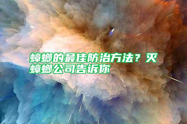 蟑螂的最佳防治方法？滅蟑螂公司告訴你