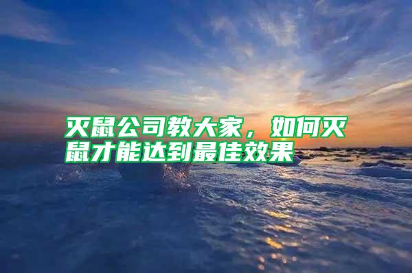 滅鼠公司教大家，如何滅鼠才能達(dá)到最佳效果