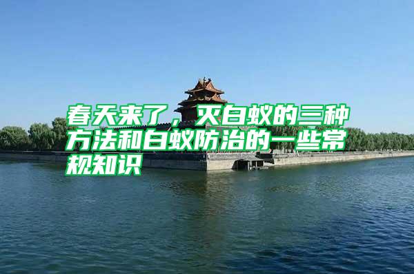 春天來了，滅白蟻的三種方法和白蟻防治的一些常規知識