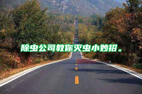 除蟲公司教你滅蟲小妙招。