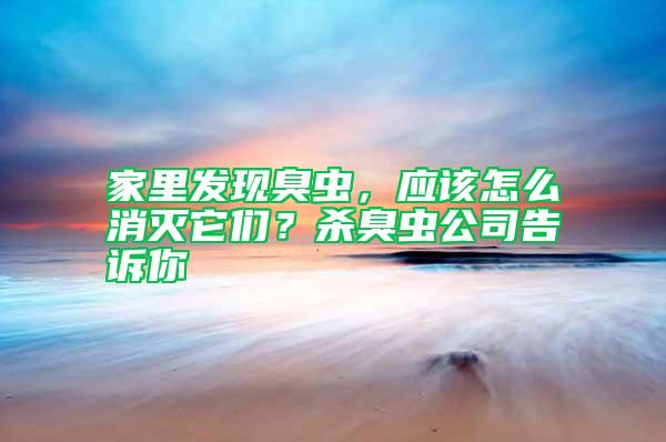 家里發現臭蟲，應該怎么消滅它們？殺臭蟲公司告訴你