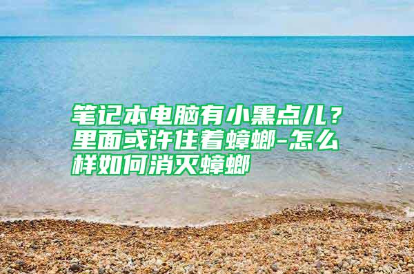 筆記本電腦有小黑點兒？里面或許住著蟑螂-怎么樣如何消滅蟑螂