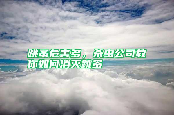 跳蚤危害多，殺蟲公司教你如何消滅跳蚤