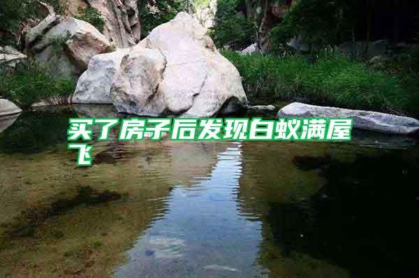 買(mǎi)了房子后發(fā)現(xiàn)白蟻滿屋飛