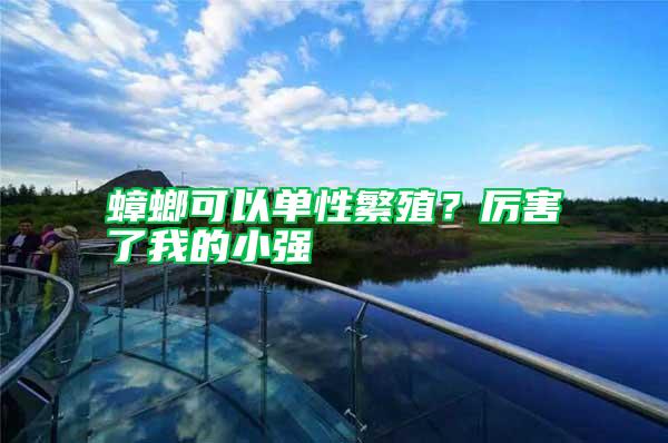 蟑螂可以單性繁殖？厲害了我的小強