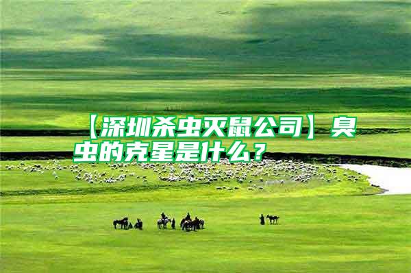 【深圳殺蟲滅鼠公司】臭蟲的克星是什么？