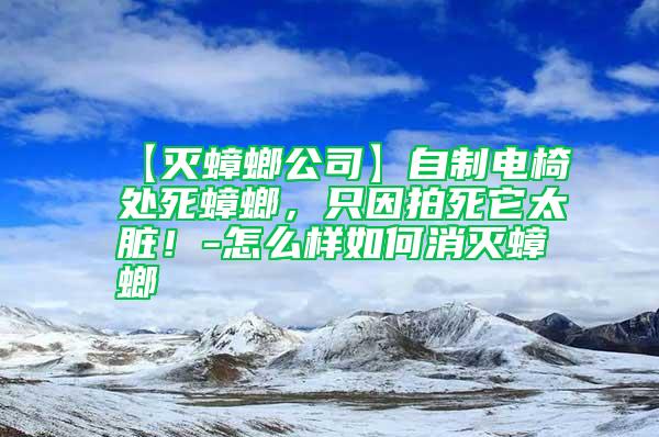 【滅蟑螂公司】自制電椅處死蟑螂，只因拍死它太臟！-怎么樣如何消滅蟑螂