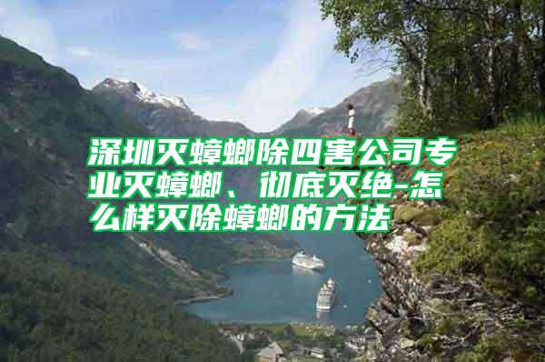 深圳滅蟑螂除四害公司專業滅蟑螂、徹底滅絕-怎么樣滅除蟑螂的方法