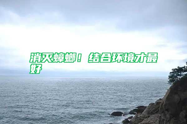 消滅蟑螂！結合環境才最好