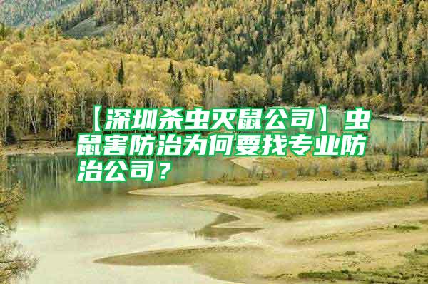 【深圳殺蟲(chóng)滅鼠公司】蟲(chóng)鼠害防治為何要找專(zhuān)業(yè)防治公司？