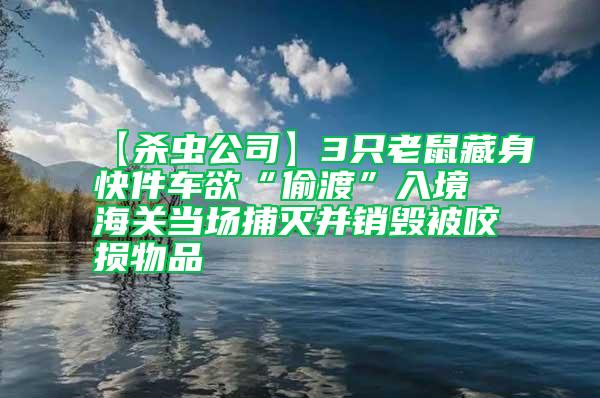 【殺蟲(chóng)公司】3只老鼠藏身快件車欲“偷渡”入境 海關(guān)當(dāng)場(chǎng)捕滅并銷毀被咬損物品
