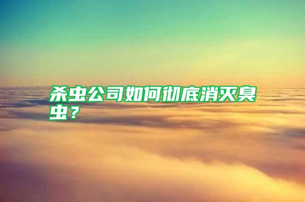 殺蟲公司如何徹底消滅臭蟲？