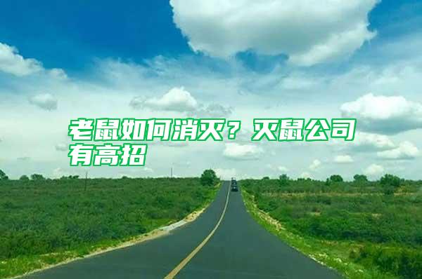 老鼠如何消滅？滅鼠公司有高招