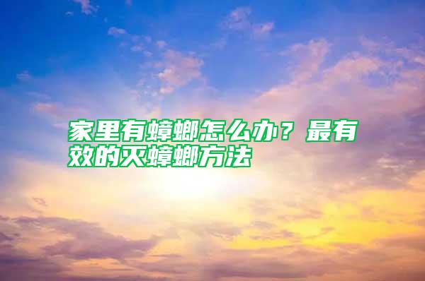 家里有蟑螂怎么辦？最有效的滅蟑螂方法