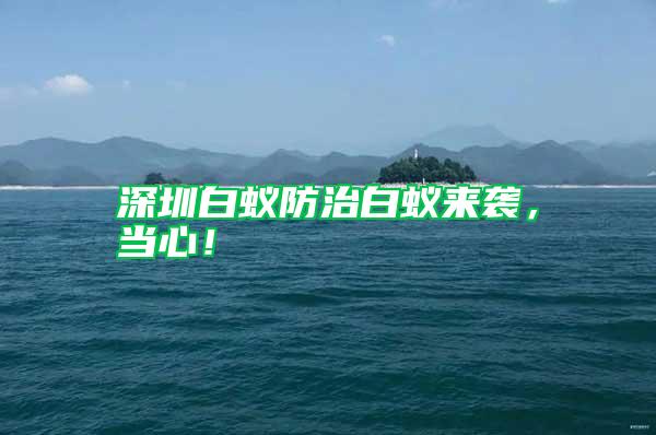 深圳白蟻防治白蟻來襲，當心！