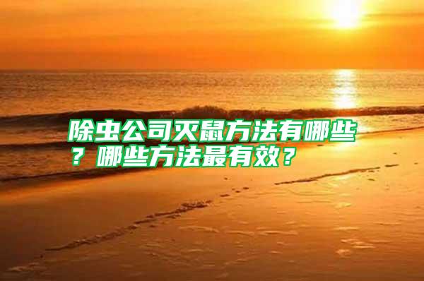 除蟲公司滅鼠方法有哪些？哪些方法最有效？