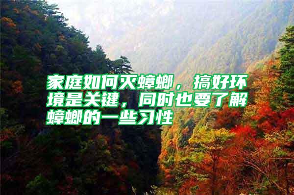 家庭如何滅蟑螂，搞好環境是關鍵，同時也要了解蟑螂的一些習性