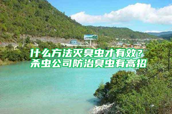 什么方法滅臭蟲才有效？殺蟲公司防治臭蟲有高招