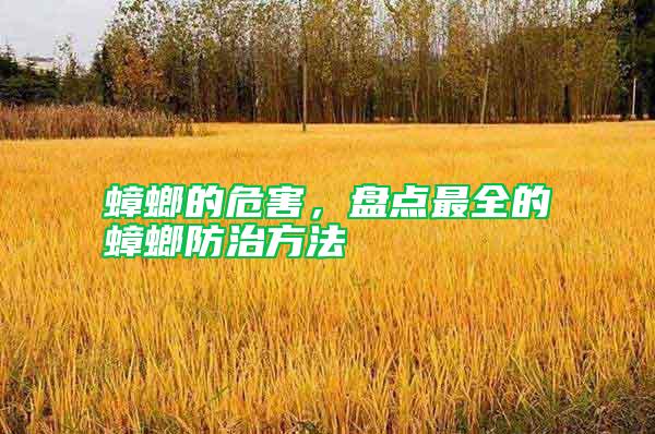 蟑螂的危害，盤點最全的蟑螂防治方法