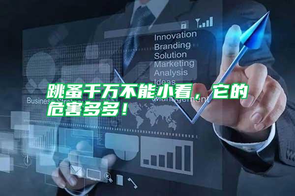 跳蚤千萬不能小看，它的危害多多！