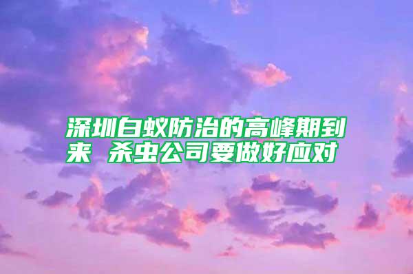 深圳白蟻防治的高峰期到來(lái) 殺蟲(chóng)公司要做好應(yīng)對(duì)