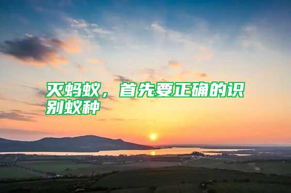 滅螞蟻，首先要正確的識(shí)別蟻種
