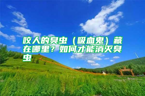 咬人的臭蟲（吸血鬼）藏在哪里？如何才能消滅臭蟲