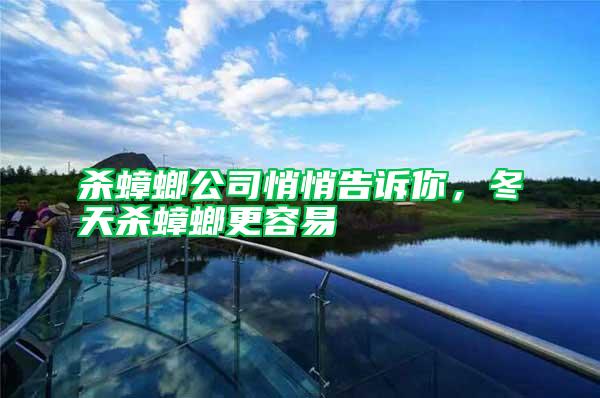 殺蟑螂公司悄悄告訴你，冬天殺蟑螂更容易