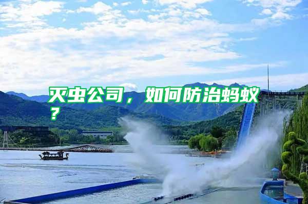 滅蟲(chóng)公司，如何防治螞蟻？