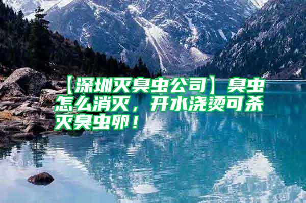 【深圳滅臭蟲公司】臭蟲怎么消滅，開水澆燙可殺滅臭蟲卵！