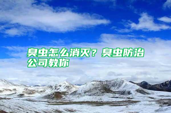 臭蟲怎么消滅？臭蟲防治公司教你
