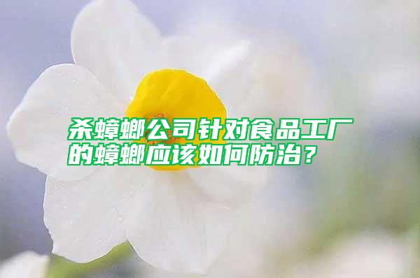 殺蟑螂公司針對食品工廠的蟑螂應該如何防治？