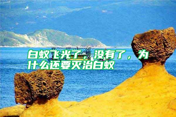 白蟻飛光了，沒有了，為什么還要滅治白蟻