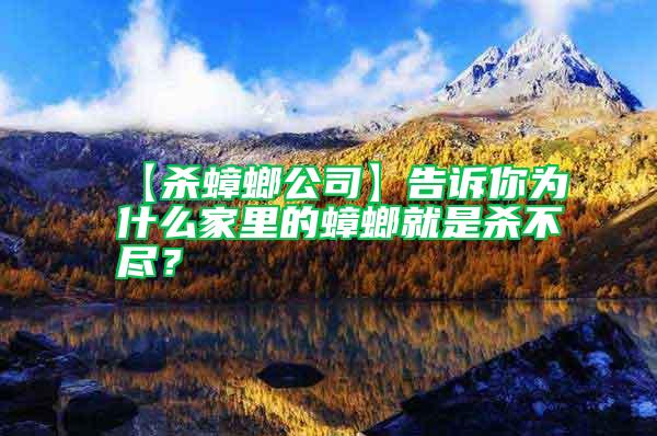 【殺蟑螂公司】告訴你為什么家里的蟑螂就是殺不盡？