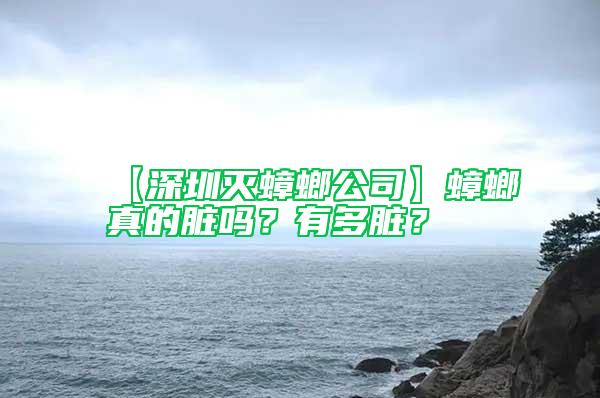 【深圳滅蟑螂公司】蟑螂真的臟嗎？有多臟？