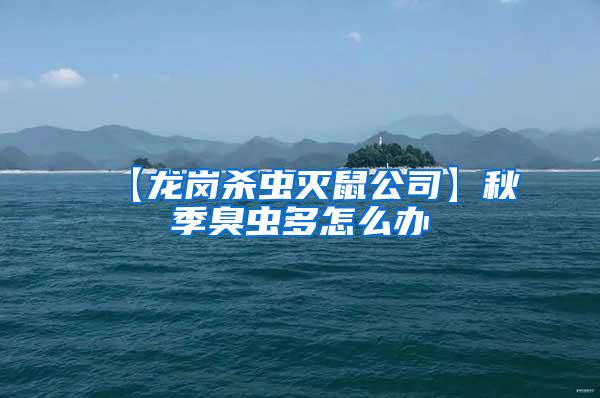 【龍崗殺蟲(chóng)滅鼠公司】秋季臭蟲(chóng)多怎么辦