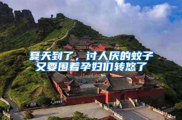 夏天到了，討人厭的蚊子又要圍著孕婦們轉悠了