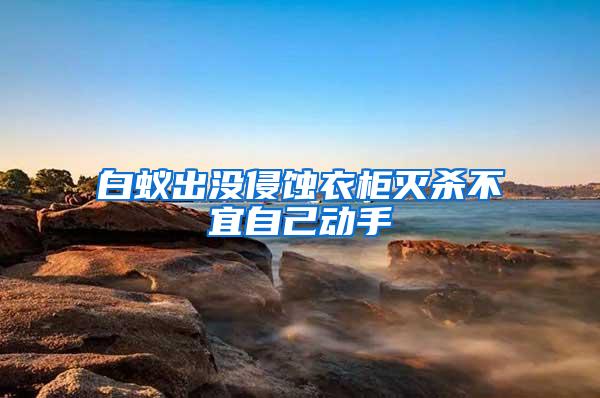 白蟻出沒(méi)侵蝕衣柜滅殺不宜自己動(dòng)手